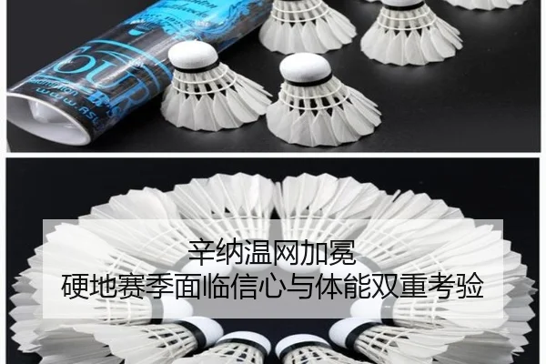 xin-na-wen-wang-jia-mian-ying-di-sai-ji-mian-lin-xin-xin-yu-ti-neng-shuang-chong-kao-yan-2-503.jpg