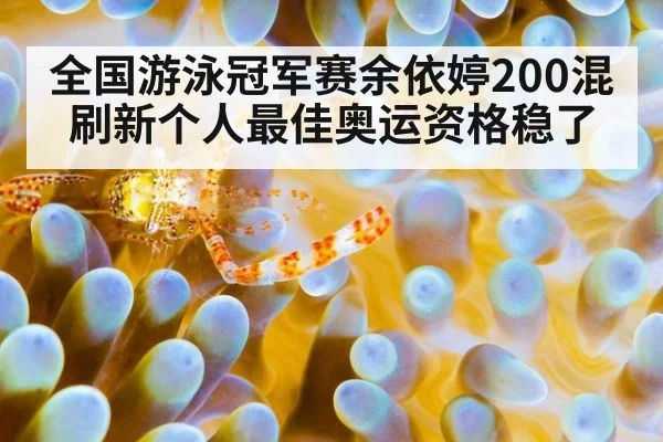 全国游泳冠军赛余依婷200混刷新个人最佳奥运资格稳了